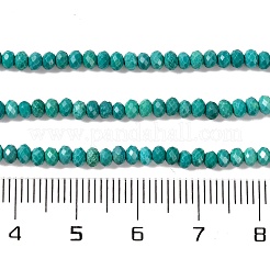 Natural Howlite Beads Strands&nbsp;G-H025-03B-04