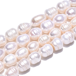 天然養殖淡水パールビーズ連売り  ライス  貝殻色  8~14x8.5~10mm  穴：0.6mm  約31~34個/連  13.58~14.06インチ（34.5~35.7cm）&nbsp;PEAR-N012-09E