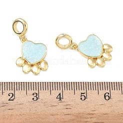Brass Enamel Paw Print European Dangle Charms&nbsp;KK-L256-08G