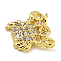 Marine Theme Rack Plating Brass Micro Pave Cubic Zirconia Pendants&nbsp;KK-I718-28G-02