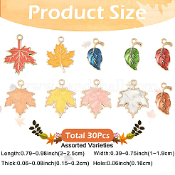 30Pcs 10 Styles Autumn Theme Zinc Alloy Pendants&nbsp;ENAM-YW0006-94