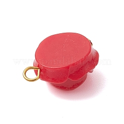 Opaque Resin Pendants&nbsp;PALLOY-JF02752-02