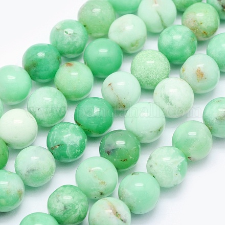 Natural Chrysoprase Beads Strands G-O166-03-10mm-1