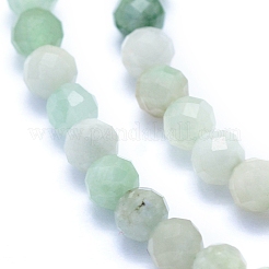 Natural Myanmar Jade/Burmese Jade Beads Strands&nbsp;G-I279-E07