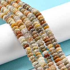 Natural Crazy Lace Agate Beads Strands&nbsp;G-K343-C04-02