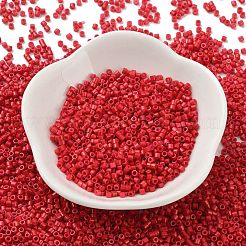 Baking Paint Glass Seed Beads&nbsp;X-SEED-S042-05B-91
