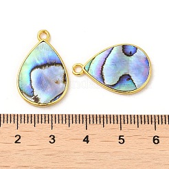 天然パウアシェルペンダント  真鍮パーツ付きティアドロップチャーム  ゴールドカラー  23.5x15x2mm  穴：2mm&nbsp;KK-E059-08G