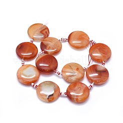 天然バンド /縞aビーズ連売り  染め＆加熱  フラットラウンド  サンゴ  25~26mm  穴：2mm  約12個/連  15.7インチ〜16.1インチ（40~41cm）&nbsp;G-I245-42B-01