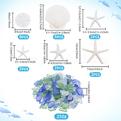 Resin Marine Organism Display Decorations&nbsp;AJEW-PH0008-27