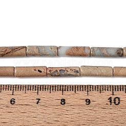 Natural Shoushan Stone Beads Strands&nbsp;G-T141-78B
