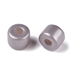 ベーキングペイント パールガラス シードビーズ  丸い穴  シリンダー  濃いグレー  4x5.5mm  穴：1.8mm  約2500個/ポンド&nbsp;SEED-T008-03U