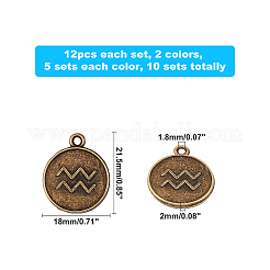 合金ペンダント  [12]の星座模様  フラットラウンド  ミックスカラー  21.5x18x2mm  穴：1.8mm  12個/セット  2色  5セット / カラー  10セット /箱&nbsp;PALLOY-PH0013-69