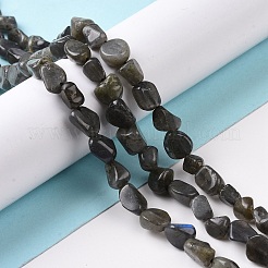 Natural Larvikite Beads Strands&nbsp;G-A208-08