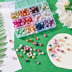 300Pcs 12 Colors Crackle Baking Paint Imitation Jade Glass Beads Set&nbsp;DGLA-TA0001-05