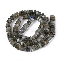 Natural Labradorite Beads Strands&nbsp;G-N357-14A-07