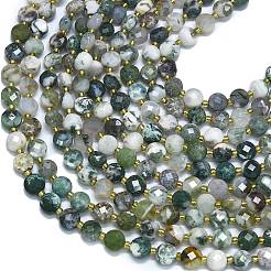 Natural Tree Agate Beads Strands&nbsp;G-K389-B07-01