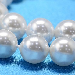 ラウンドシェルパールビーズ連売り  ホワイト  16mm  穴：1~1.2mm  約25個/連  15.74インチ&nbsp;BSHE-L011-16mm-A013