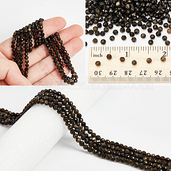2 Strands Natural Golden Sheen Obsidian Beads Strands&nbsp;G-NB0005-66