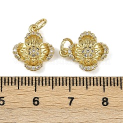 Brass Micro Pave Cubic Zirconia Pendants&nbsp;KK-I358-063G-E