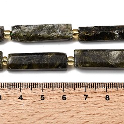 Natural Fuchsite Beads Strands&nbsp;G-D353-A18