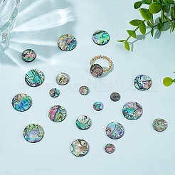 20Pcs 4 Styles Natural Abalone Shell/Paua Shell Cabochons&nbsp;SHEL-WR0001-07