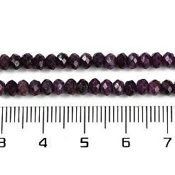 Natural Ruby Beads Strands&nbsp;G-P553-F01-03