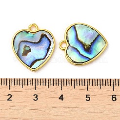 天然パウアシェルペンダント  真鍮のパーツが付いたハートチャーム  ゴールドカラー  19x17x2.5mm  穴：2mm&nbsp;KK-E059-10G