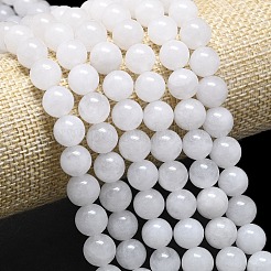 Natural Malaysia Jade Beads Strands&nbsp;G-L645-B01-10mm-01