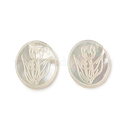 Natural Sea Shell Cabochons&nbsp;SSHEL-T012-14