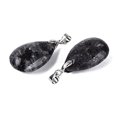 Natural Larvikite Pendants&nbsp;G-N362-03P-01