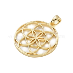 Rack Plating Brass Pendants&nbsp;KK-A224-02C-G