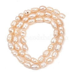 Natural Cultured Freshwater Pearl Beads Strands&nbsp;PEAR-D003-01D-08