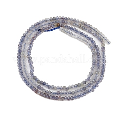 Natural Iolite Beads Strands&nbsp;G-F789-02