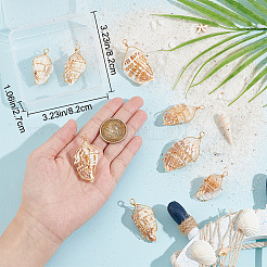 10Pcs Natural Conch Shell Big Pendants&nbsp;FIND-BBC0003-11