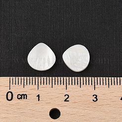 Natural Freshwater Shell Beads&nbsp;SHER-R100-04A
