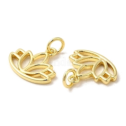 Rack Plating Brass Pendants&nbsp;KK-C030-07G