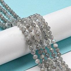 Faceted Round Natural Labradorite Bead Strands&nbsp;G-I156-03-4mm