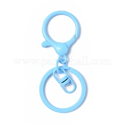 Alloy Keychain Clasps&nbsp;FIND-H037-03
