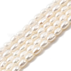 天然養殖淡水パールビーズ連売り  ライス  グレード6a+  古いレース  3~3.5mm  穴：0.5mm  約71~80個/連  13.98''~14.37''（35.5~36.5センチメートル）&nbsp;PEAR-I007-01O-01A
