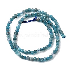 Natural Apatite Beads Strands&nbsp;G-H336-A04-01