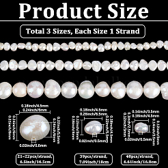 3 Strands 3 Styles Natural Cultured Freshwater Pearl Beads Strands&nbsp;PEAR-PA0001-09
