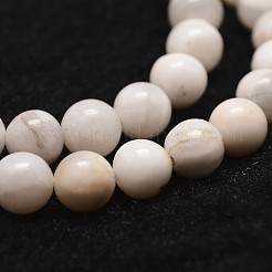 Natural White Crazy Lace Agate Bead Strands&nbsp;G-D840-55-8mm