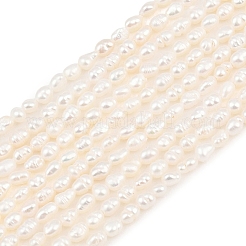 Natural Cultured Freshwater Pearl Beads Strands&nbsp;PEAR-F020-07