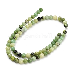 Natural Serpentine Beads Strands&nbsp;G-Z110-C04-6mm