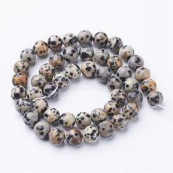 天然石ダルメシアンジャスパービーズ連売り  ラウンド  8mm  穴：1mm  約45~47個/連  38cm/連&nbsp;GSR004