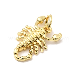 Brass Charms&nbsp;KK-I364-05G-04