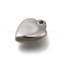 304 Stainless Steel Charms&nbsp;STAS-C119-05P