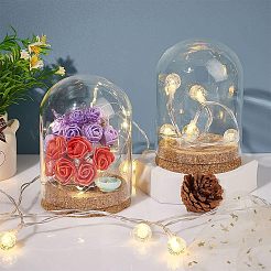 2 Sets High Borosilicate Glass Dome Cover&nbsp;DJEW-NB0001-20
