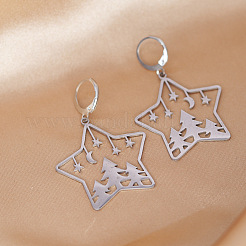 201 Stainless Steel Leverback Earrings&nbsp;FS-WGCA6C3-01