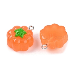 Opaque Resin Pendants&nbsp;RESI-N039-124